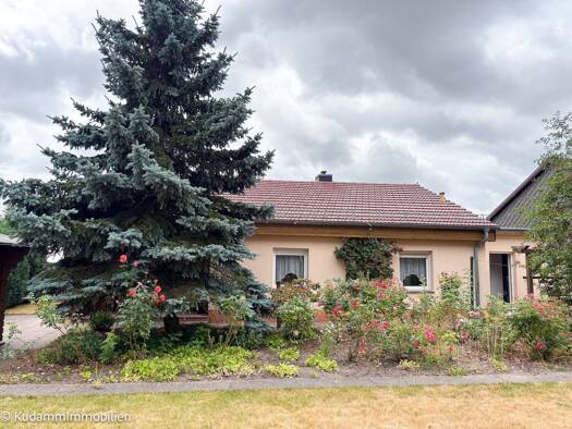 Einfamilienhaus zum Kauf 125.000 € 2 Zimmer 68 m² 770 m² Grundstück frei ab sofort Am Rosenplan 7 Wittstock Wittstock/Dosse 16909