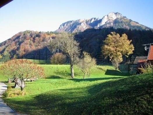 Haus zur Miete auf Zeit 4.900 € 7 Zimmer 225 m² frei ab sofort Windshausen Nußdorf am Inn 83131
