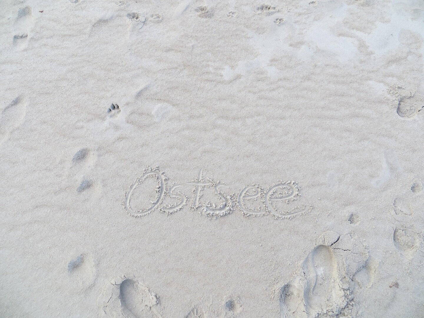 Immobilie in Graal-Müritz - Vielfältige Nutzungsmöglichkeiten! Einfamilienhaus von privat (provisionsfrei!) an der Ostsee - Bild 1