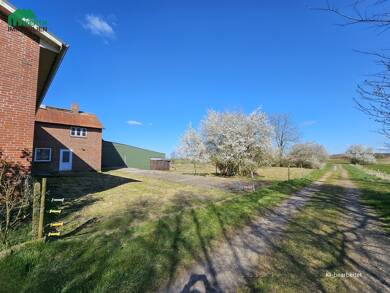 Haus zum Kauf 7 Zimmer 242 m² 35.872 m² Grundstück Haselund / Kollund 25855