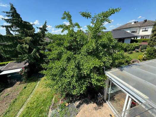 Einfamilienhaus zum Kauf provisionsfrei 699.000 € 6 Zimmer 214 m² 457 m² Grundstück Hochheim 65239