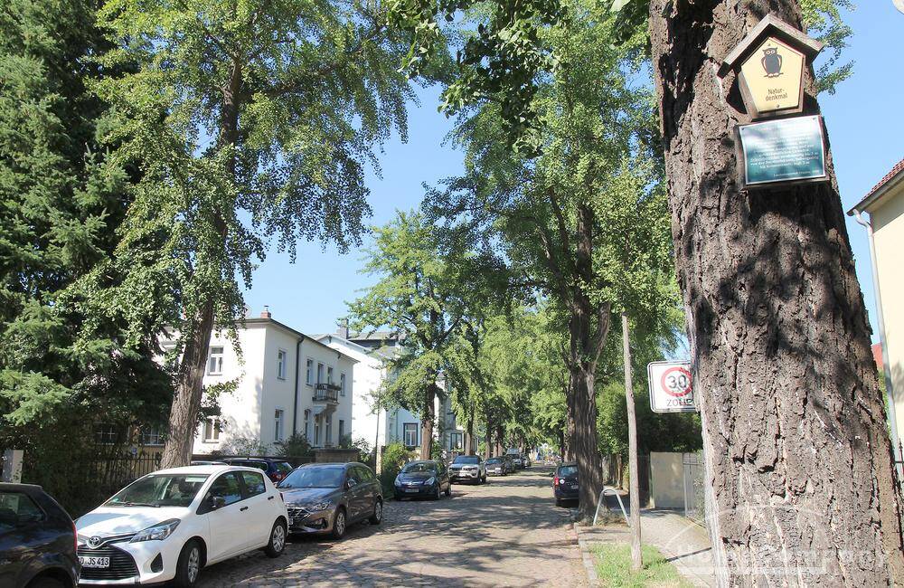 Property thumbnail 21