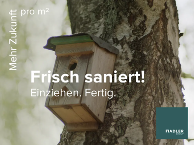 Wohnung zur Miete 537 € 3 Zimmer 61 m² EG frei ab 01.07.2025 Bergerstr. 154 Brühl Brühl 50321