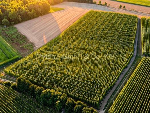 Land-/Forstwirtschaft zum Kauf 78.000 m² Grundstück Attenhofen Attenhofen 84091
