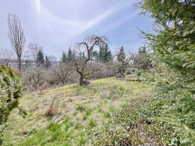 Grundstück zum Kauf 1.576.000 € 1.999 m² Grundstück Erbach 89155