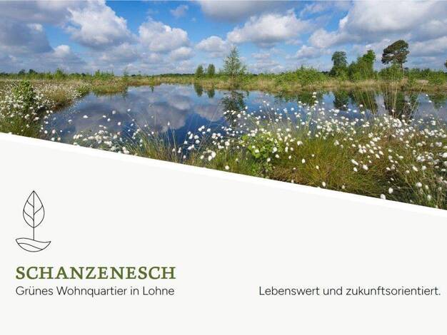 Grundstück zum Kauf 100.000 € 400 m² Grundstück Lohne Lohne (Oldenburg) / Hamberg 49393