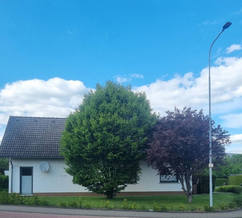 Bürogebäude zur Miete provisionsfrei 1.250 € 131 m² Bürofläche Büblingshausen Wetzlar 35578