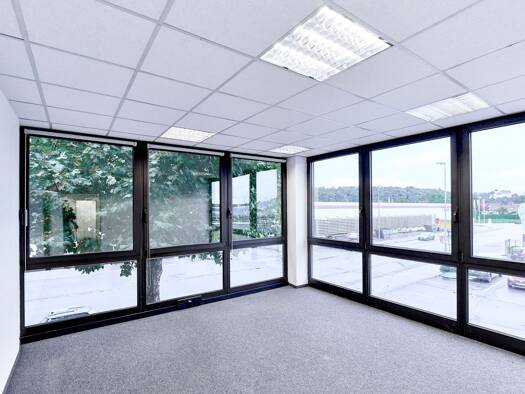 Büro zur Miete 1.900 € 5 Zimmer 195 m² Bürofläche Illertissen Illertissen 89257