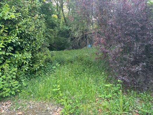 Grundstück zum Kauf 499.000 € 1.532 m² Grundstück Feldbergstraße 26 Niedernhausen 65527