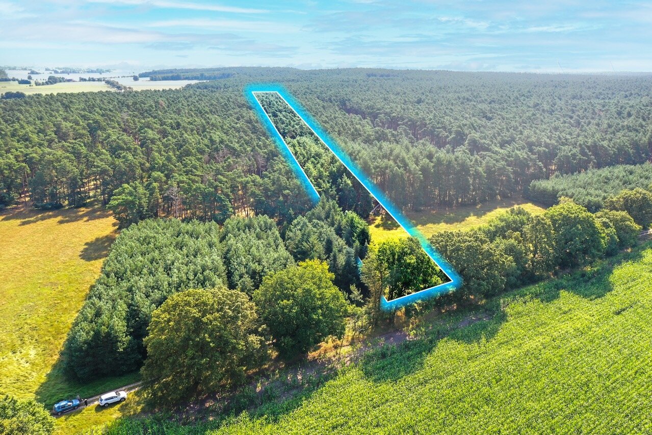 Grundstück zum Kauf 15.000 € 15.680 m²<br/>Grundstück Nahe der L71 Dubro Schönewalde 04916