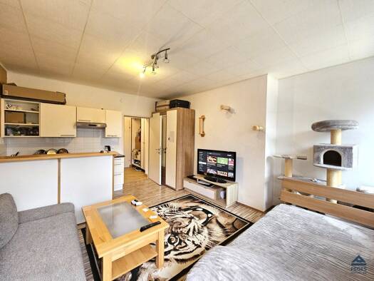 Wohnung zur Miete 451 € 1 Zimmer 27 m² 2. Geschoss Otto Glöckel Straße 5 Grödig 5082