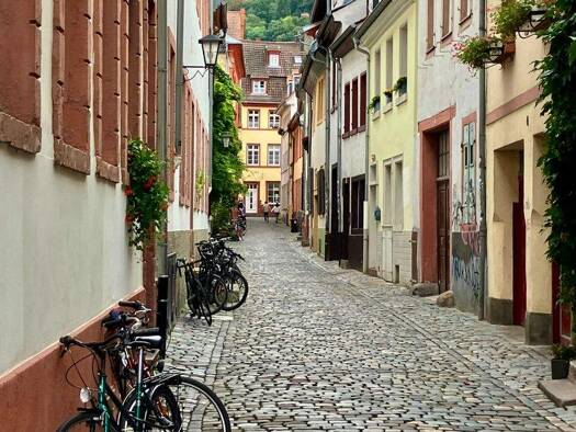 Stadthaus zum Kauf 1.100.000 € 9 Zimmer 240 m² 250 m² Grundstück Altstadt Heidelberg 69117