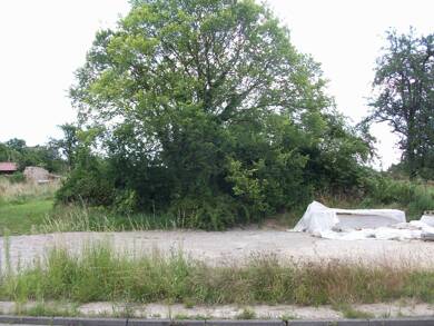 Grundstück zum Kauf 63.000 € 545 m² Grundstück Biegen Briesen (Mark) 15518