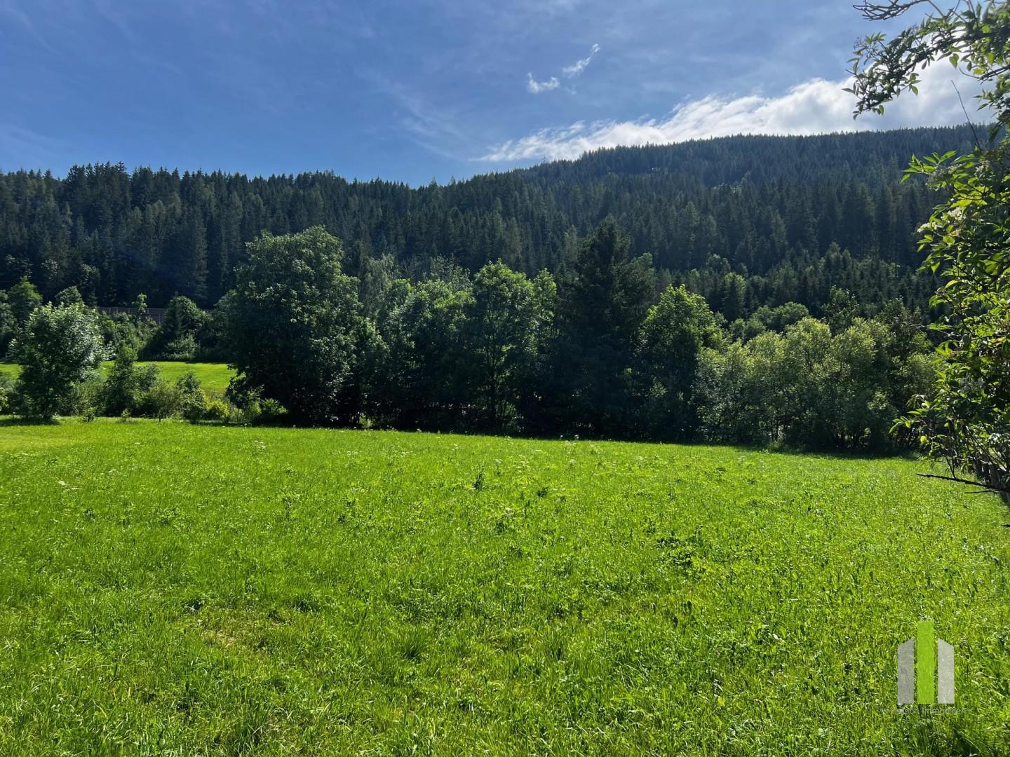 Grundstück zum Kauf 3.000.000 € 2.000 m²<br/>Grundstück Flachau 5542