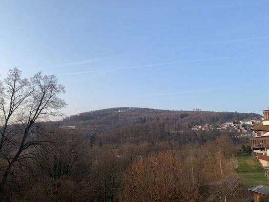 Studio zur Miete 450 € 1 Zimmer 50 m² 2. Geschoss Lindenfels 64678