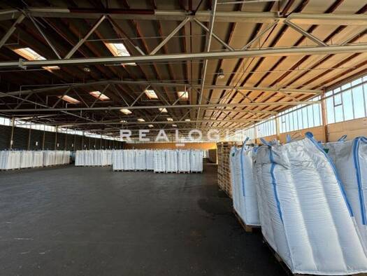 Halle/Industriefläche zum Kauf provisionsfrei 18.400 m² Lagerfläche Beelen 48361