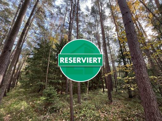 Land-/Forstwirtschaft zum Kauf 6.000 € 1.709 m² Grundstück Berg 92348