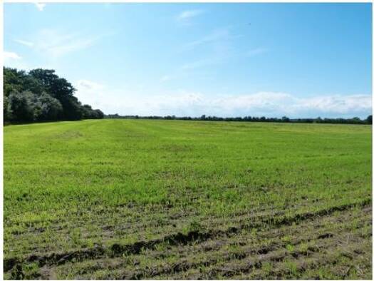 Landwirtschaftliche Fläche zum Kauf 150.000 € 98.398 m² Grundstück Güterfelde Stahnsdorf 14532