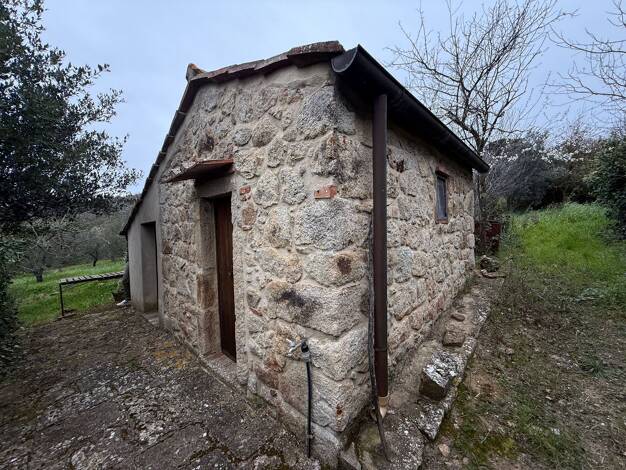 Grundstück zum Kauf 38.500 € 7.000 m² Grundstück Roccastrada 58036