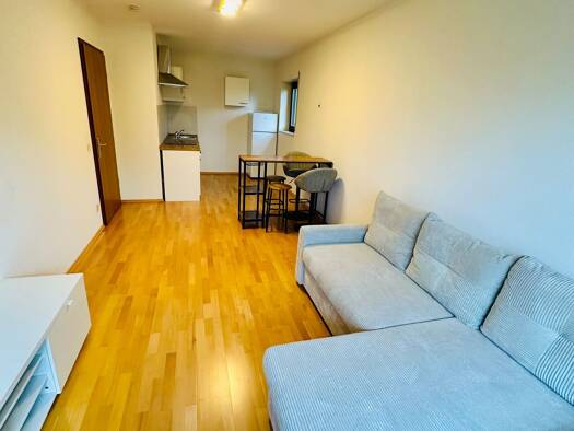 Wohnung zur Miete 590 € 2 Zimmer 40 m² frei ab sofort Nelkenstraße Alt-Saarbrücken Saarbrücken 66119