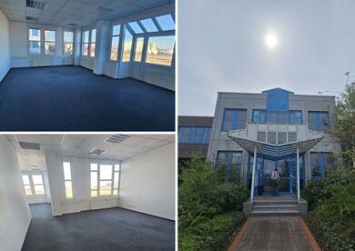 Bürofläche zur Miete provisionsfrei 1.170 € 195 m² Bürofläche Wiedemar Wiedemar 04509