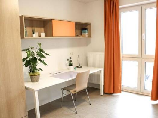 Wohnung zur Miete 390 € 1 Zimmer 20,4 m² 1. Geschoss frei ab sofort Schillerstraße 1 Innenstadt Zwickau 08056