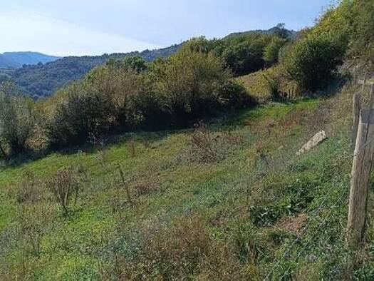 Wohn- und Gewerbegrundstück zum Kauf 80.000 € Poligono 41 S/N Lena 33629
