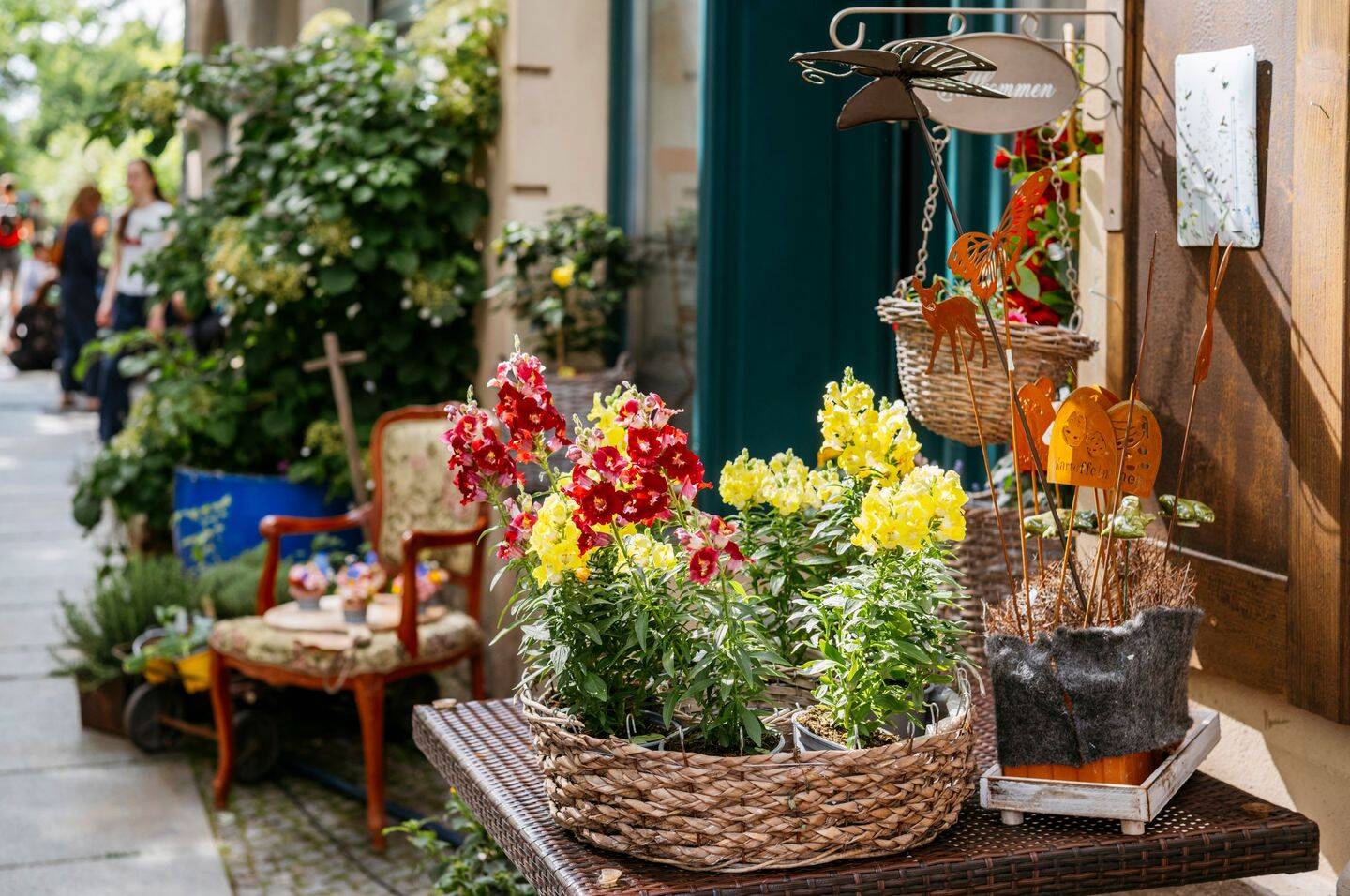 Property thumbnail 3