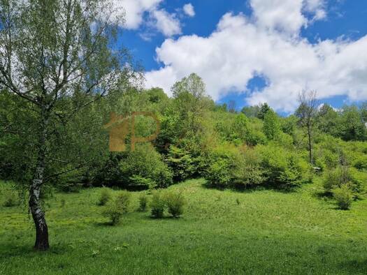 Grundstück zum Kauf 65.000 € Mrkopalj 51315