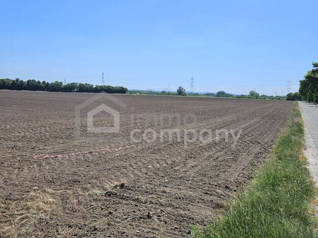 Land-/Forstwirtschaft zum Kauf 1.555.350 € 51.845 m² Grundstück Enzersdorf an der Fischa 2433