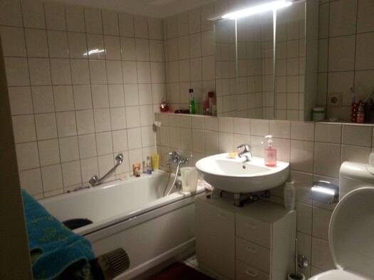 Wohnung zur Miete 450 € 3 Zimmer 75,8 m² Bad_Kreuznach_Kreis 55606