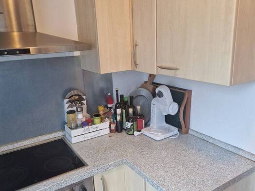 Wohnung zur Miete 900 € 3 Zimmer 75 m² Geschoss 1/3 Dettingen Konstanz 78465