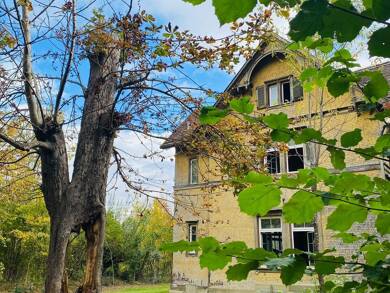 Haus zum Kauf 1.150.000 € 11 Zimmer 397 m² 3.670 m² Grundstück Schafhausen Weil der Stadt 71263