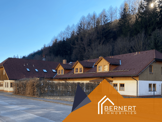 Hotel zum Kauf 250.000 € 23 Zimmer 1.600 m² Gastrofläche 3.200 m² Grundstück Schönbrunn Schleusegrund 98667