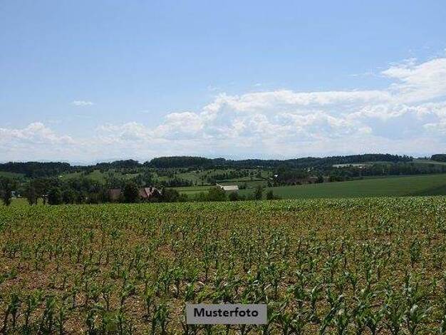 Land-/Forstwirtschaft zum Kauf 5.620 € 6.119 m² Grundstück Astert 57627