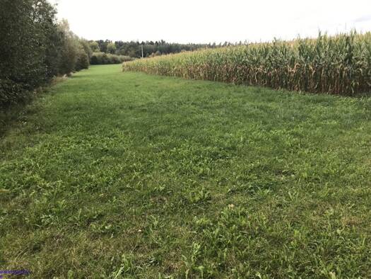 Land-/Forstwirtschaft zum Kauf 230.000 € 46.304 m² Grundstück Obernzenn Obernzenn 91619