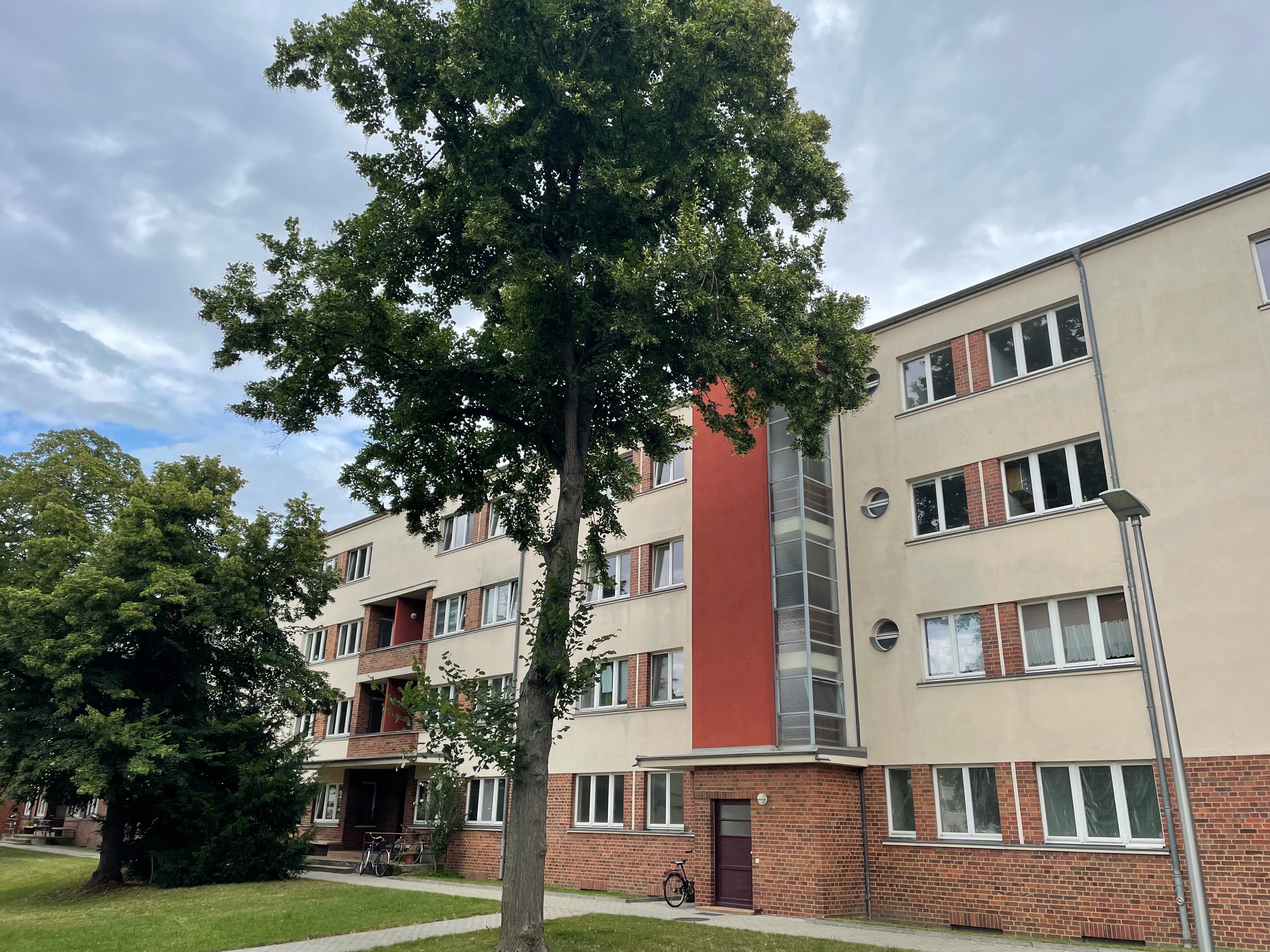 Wohnung zur Miete 500 € 3 Zimmer 54,5 m²<br/>Wohnfläche 1.<br/>Geschoss ab sofort<br/>Verfügbarkeit Goethestraße 19 Zwenkau Zwenkau 04442