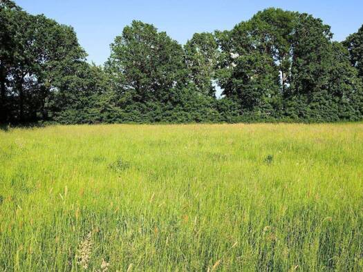 Grundstück zum Kauf 145.000 € 880 m² Grundstück frei ab sofort Pöllersdorf Goldkronach 95497