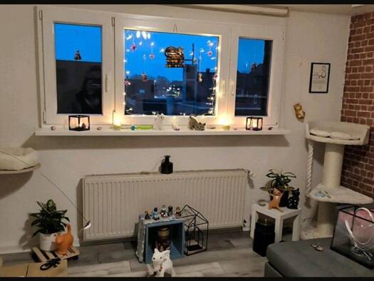 Wohnung zur Miete 450 € 2 Zimmer 50 m² frei ab 01.11.2026 Röttgersbachstr. 80 Röttgersbach Duisburg 47169