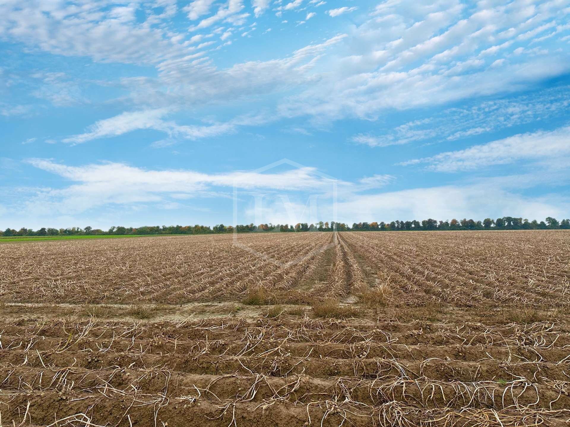 Landwirtschaftliche Fläche zum Kauf 740.000 € 49.169 m²<br/>Grundstück Stadtkern Jülich 52428