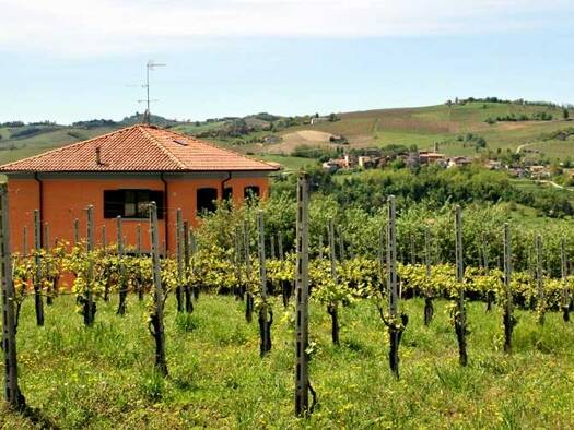 Einfamilienhaus zum Kauf 495.000 € 12 Zimmer 300 m² 2.500 m² Grundstück Montecalvo Versiggia 27047