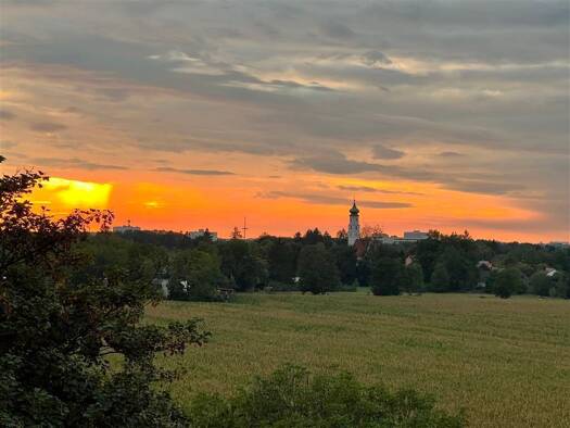 Wohnung zum Kauf als Kapitalanlage geeignet 229.000 € 1 Zimmer 36 m² Thalk.Obersendl.-Forsten-Fürstenr.-Solln München 81477