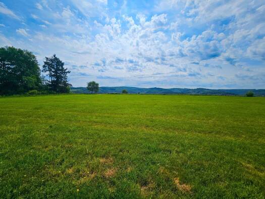 Einfamilienhaus zum Kauf 298.000 € 8 Zimmer 165 m² 2.743 m² Grundstück Eitorf 53783