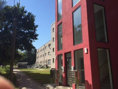 Wohnung zur Miete 520 € 2 Zimmer 63,6 m² EG frei ab 01.07.2025 Neidschützer Straße 67 Naumburg Naumburg (Saale) 06618