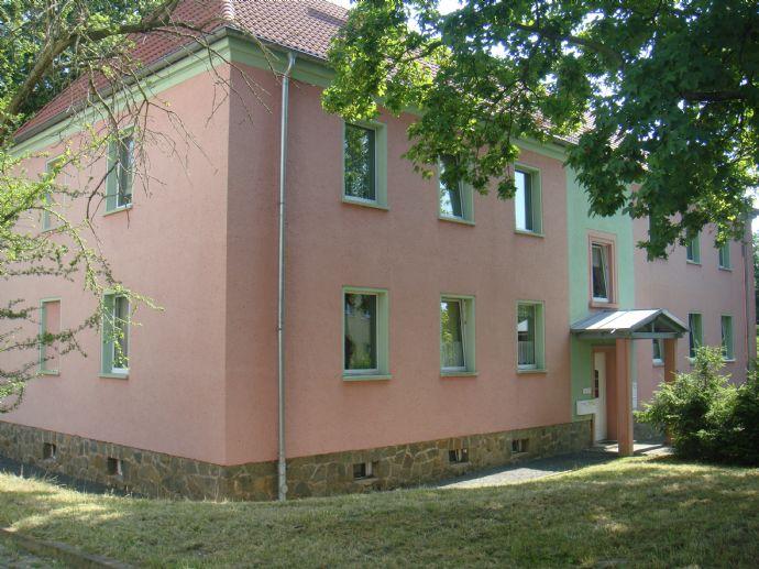 Wohnung zur Miete 320 € 3 Zimmer 66 m²<br/>Wohnfläche ab sofort<br/>Verfügbarkeit Am Auholz 4 Meuselwitz Meuselwitz 04610