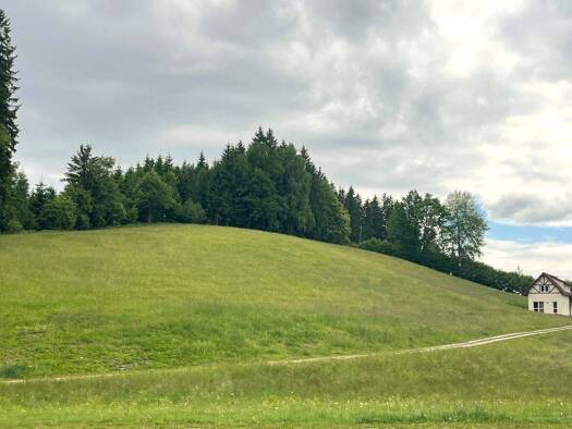 Grundstück zum Kauf 1.450.000 € Hollenstein an der Ybbs 3343