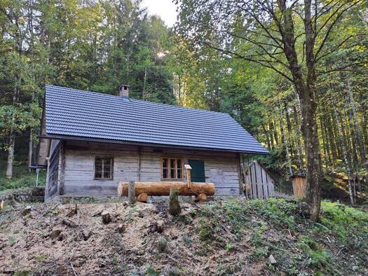 Einfamilienhaus zur Miete 134 € 72 m² frei ab 01.04.2026 Reichraming 4462