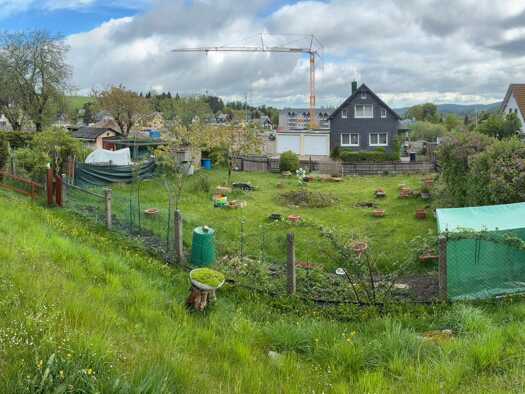 Grundstück zur Miete 50 € 498 m² Grundstück frei ab sofort Bahnhofstraße 10 Oberweißbach Oberweißbach/Thüringer Wald 98744