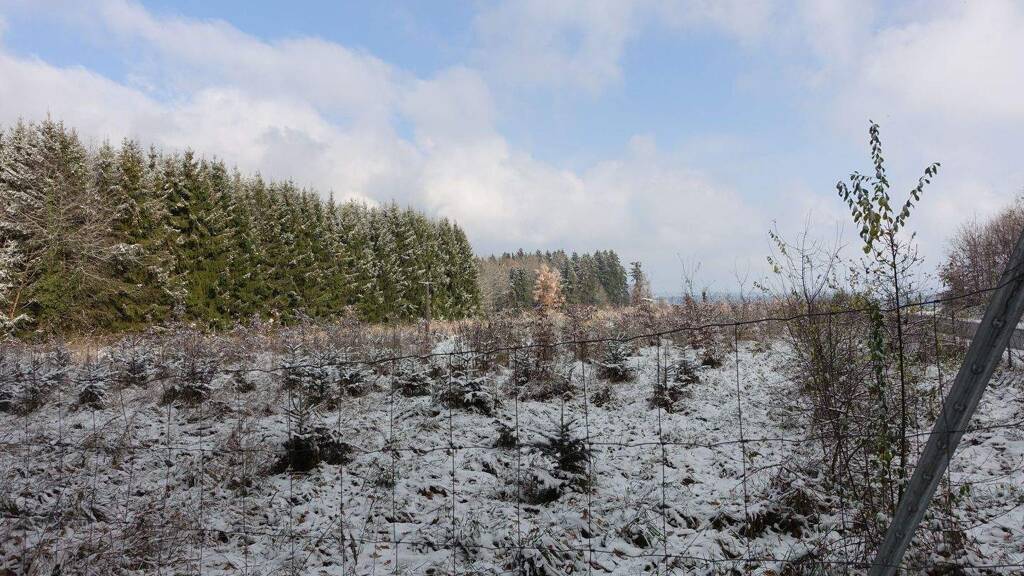 Land-/Forstwirtschaft zum Kauf 80.000 € 6.600 m² Grundstück Rabeneck Schnaitsee 83530