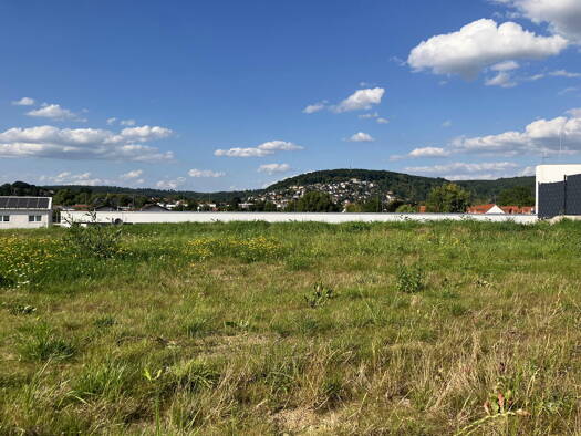 Grundstück zum Kauf provisionsfrei 244.125 € 1.395 m² Grundstück Armstrong Straße 7 Büdingen Büdingen 63654